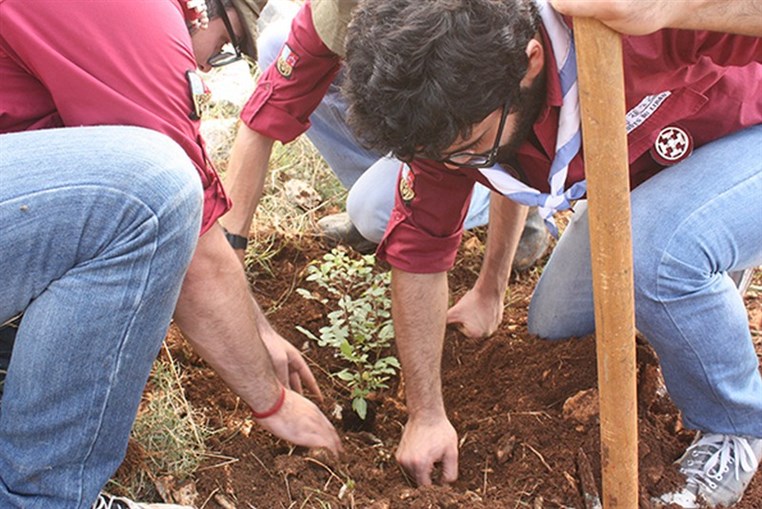 New Plantation Site in Damour 600 rovers from Les Scouts du Liban plant with Jouzour Loubnan